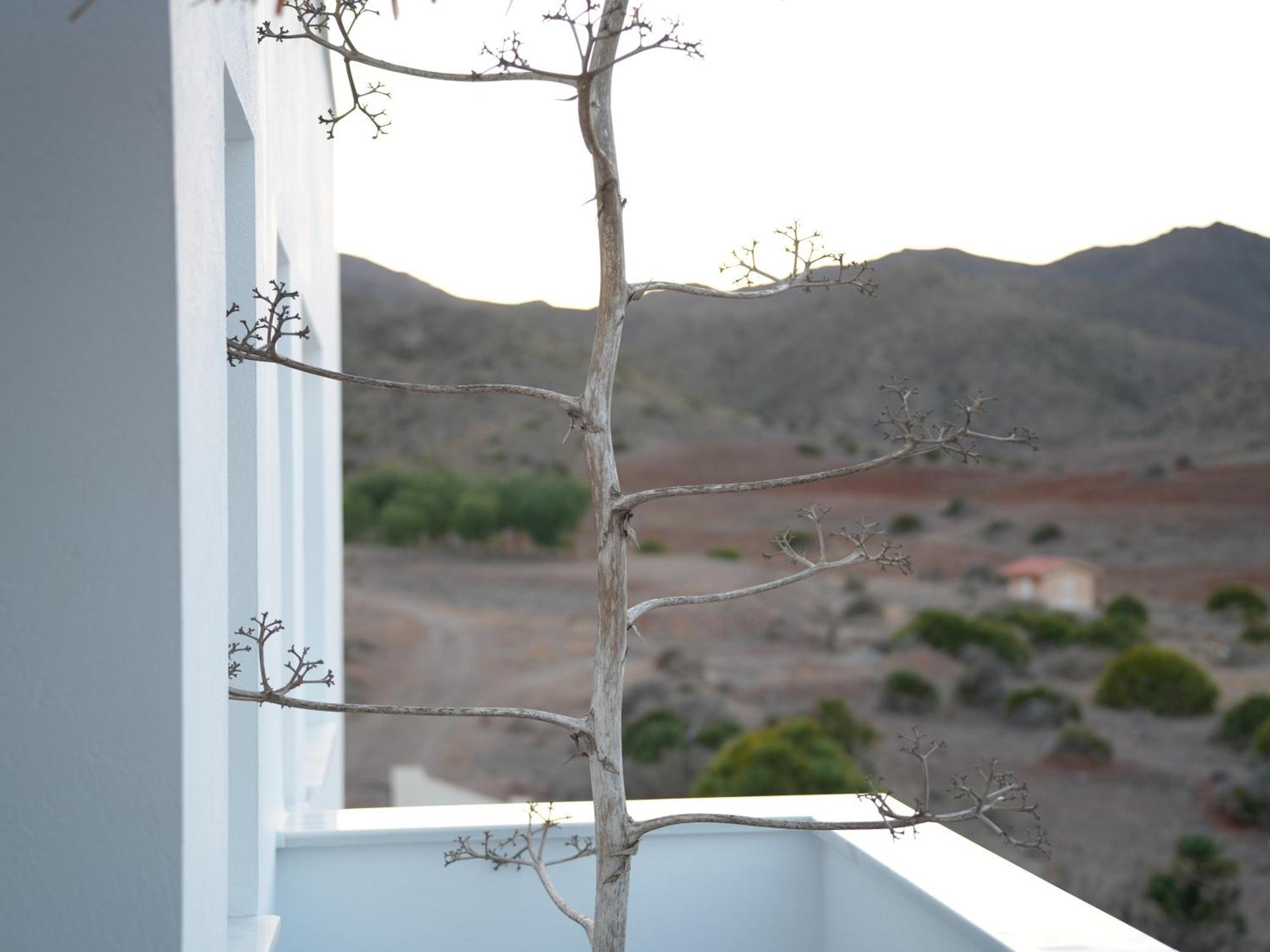 Senses Villa San Jose  Εξωτερικό φωτογραφία